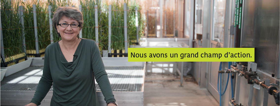 Sylvie Cloutier banner Text: We cover a lot of ground