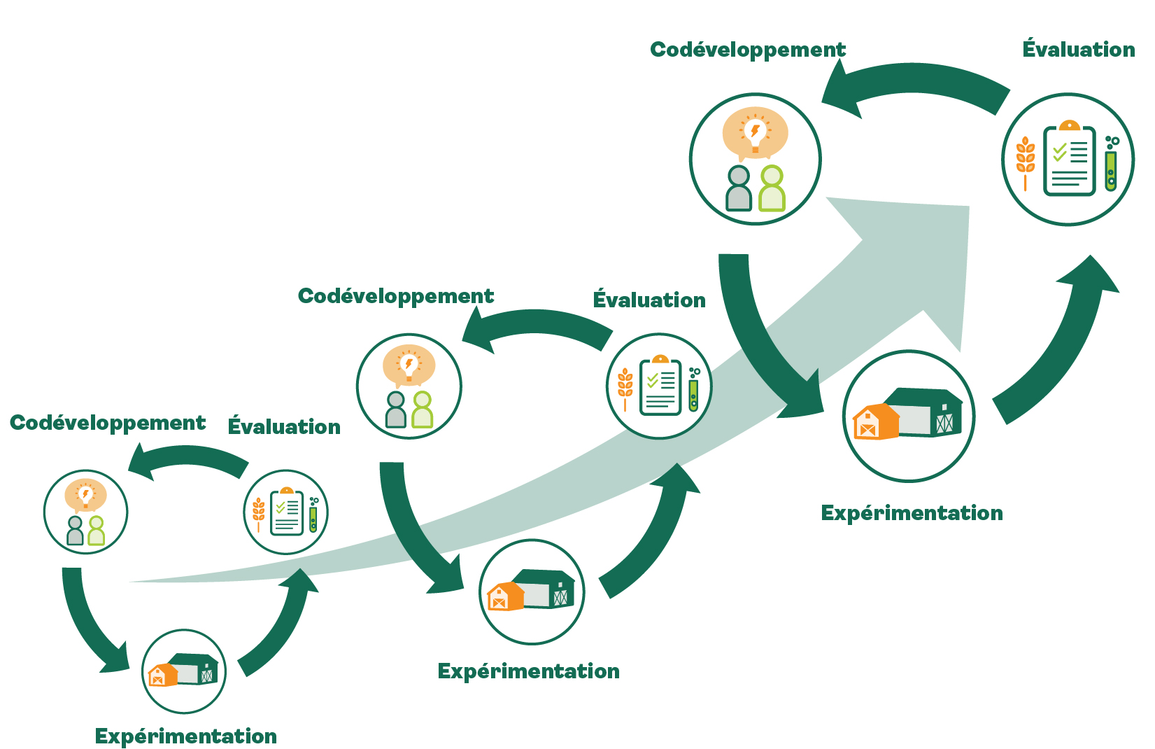 cycle d’innovation