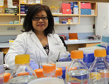 Dr. Sangeeta Dhaubhadel smiling in her laboratory