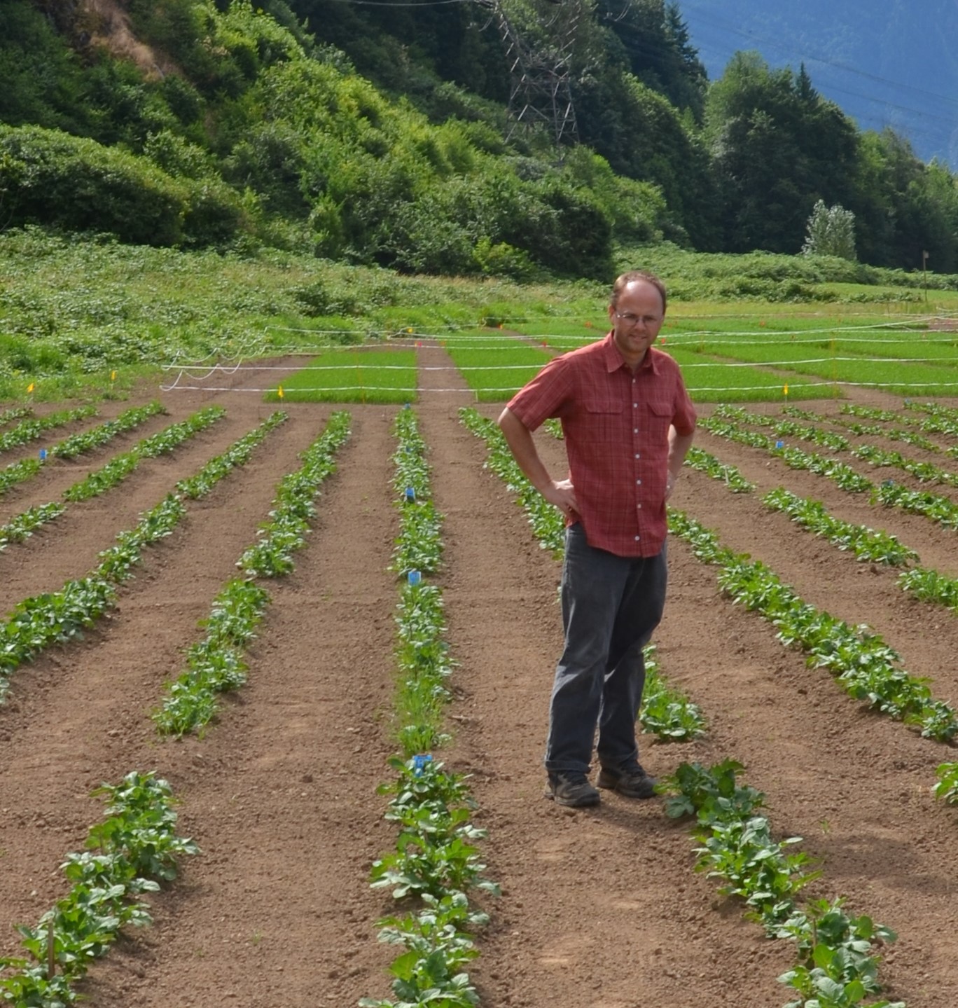 Un scientifique debout dans un champ cultivé avec des montagnes en toile de fond.